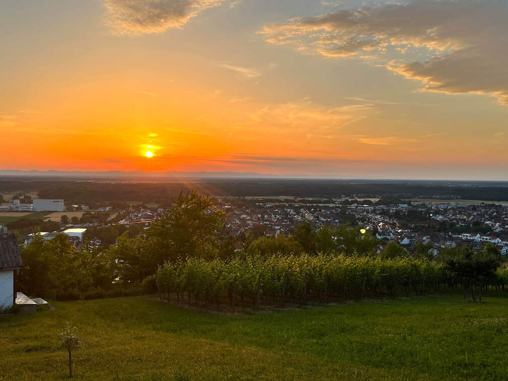 22-06-15 21-11-19 1110